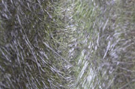 Five Acres fibreglass roof work